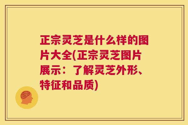 正宗灵芝是什么样的图片大全(正宗灵芝图片展示：了解灵芝外形、特征和品质)  第1张