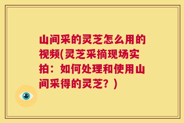 山间采的灵芝怎么用的视频(灵芝采摘现场实拍：如何处理和使用山间采得的灵芝？)  第1张