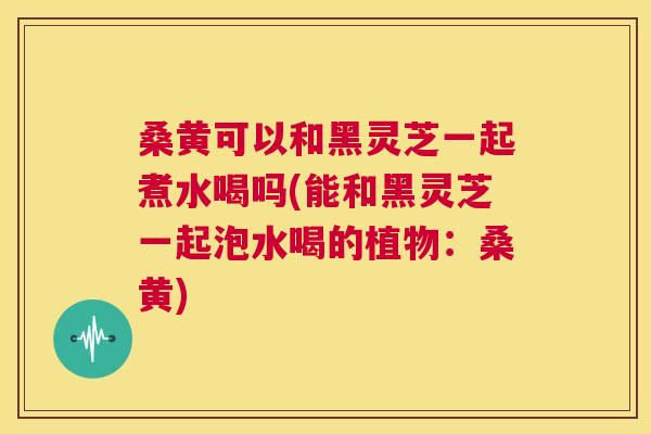 桑黄可以和黑灵芝一起煮水喝吗(能和黑灵芝一起泡水喝的植物:桑黄) 第1张 桑黄可以和黑灵芝一起煮水喝吗(能和黑灵芝一起泡水喝的植物:桑黄) 第1张