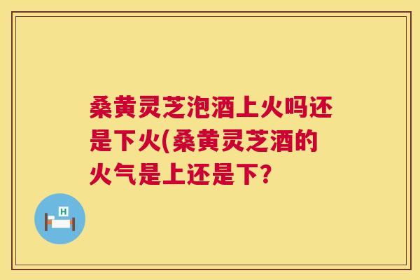 桑黄灵芝泡酒上火吗还是下火(桑黄灵芝酒的火气是上还是下？  第1张