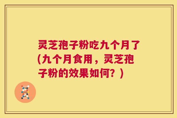 灵芝孢子粉吃九个月了(九个月食用,灵芝孢子粉的效果如何?) 第1张 灵芝孢子粉吃九个月了(九个月食用,灵芝孢子粉的效果如何?) 第1张