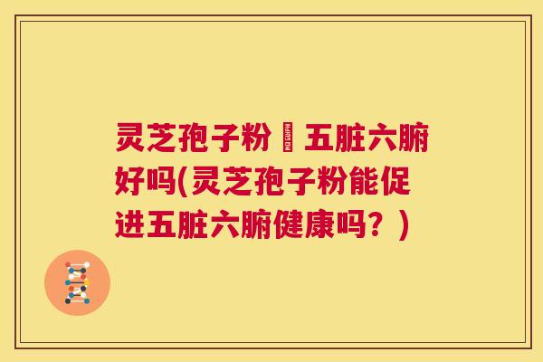 灵芝孢子粉対五脏六腑好吗(灵芝孢子粉能促进五脏六腑健康吗?) 第1张 灵芝孢子粉対五脏六腑好吗(灵芝孢子粉能促进五脏六腑健康吗?) 第1张
