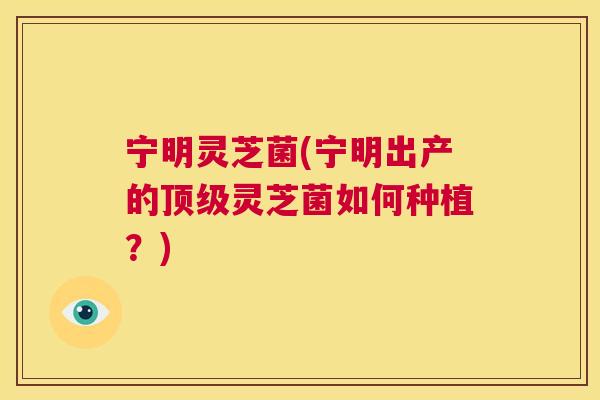 宁明灵芝菌(宁明出产的顶级灵芝菌如何种植？)  第1张