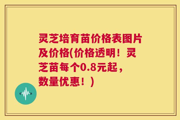 灵芝培育苗价格表图片及价格(价格透明！灵芝苗每个0.8元起，数量优惠！)  第1张