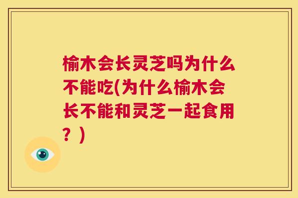 榆木会长灵芝吗为什么不能吃(为什么榆木会长不能和灵芝一起食用？)  第1张