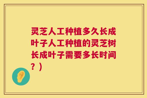 灵芝人工种植多久长成叶子人工种植的灵芝树长成叶子需要多长时间？)  第1张