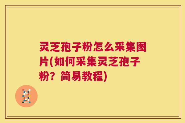 灵芝孢子粉怎么采集图片(如何采集灵芝孢子粉？简易教程)  第1张
