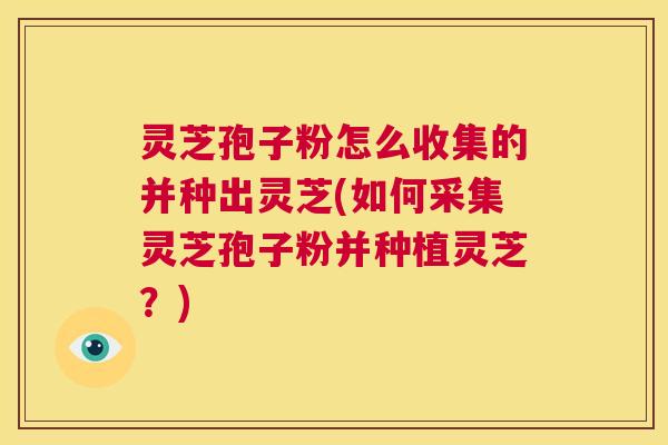 灵芝孢子粉怎么收集的并种出灵芝(如何采集灵芝孢子粉并种植灵芝？)  第1张