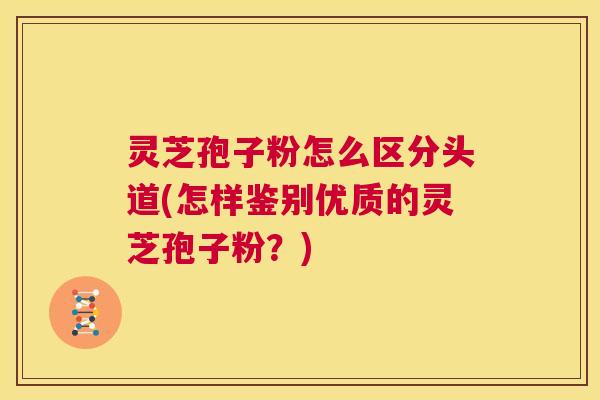 灵芝孢子粉怎么区分头道(怎样鉴别优质的灵芝孢子粉？)  第1张