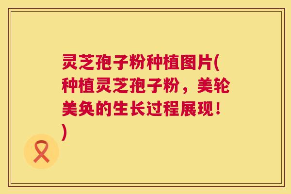 灵芝孢子粉种植图片(种植灵芝孢子粉,美轮美奂的生长过程展现!) 第1张 灵芝孢子粉种植图片(种植灵芝孢子粉,美轮美奂的生长过程展现!) 第1张