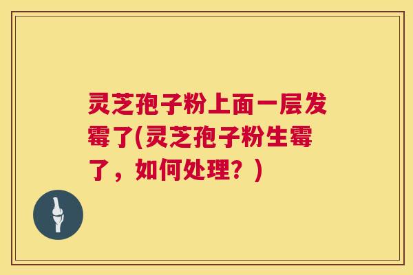 灵芝孢子粉上面一层发霉了(灵芝孢子粉生霉了，如何处理？)  第1张