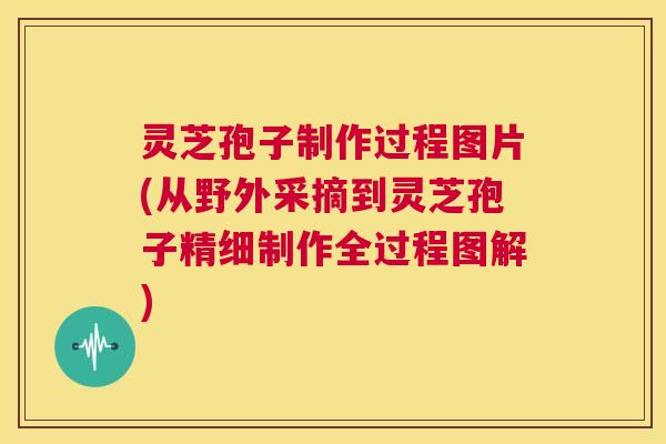 灵芝孢子制作过程图片(从野外采摘到灵芝孢子精细制作全过程图解)  第1张