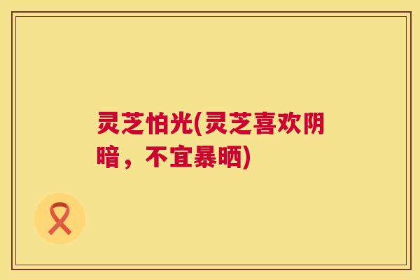 灵芝怕光(灵芝喜欢阴暗，不宜暴晒)  第1张