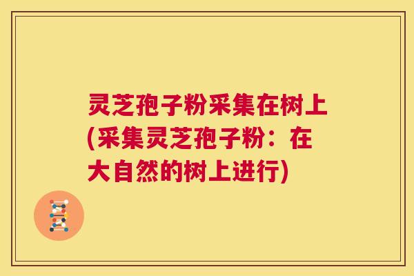灵芝孢子粉采集在树上(采集灵芝孢子粉：在大自然的树上进行)  第1张