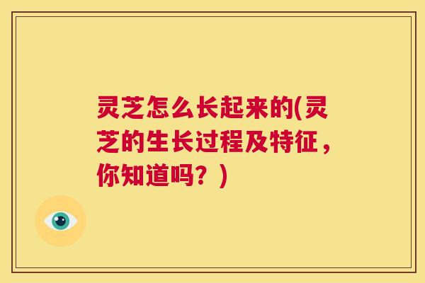 灵芝怎么长起来的(灵芝的生长过程及特征，你知道吗？)  第1张