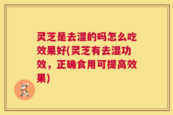 灵芝是去湿的吗怎么吃效果好(灵芝有去湿功效，正确食用可提高效果)  第1张