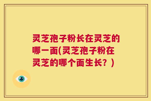 灵芝孢子粉长在灵芝的哪一面(灵芝孢子粉在灵芝的哪个面生长？)  第1张