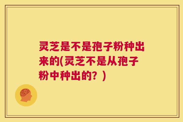 灵芝是不是孢子粉种出来的(灵芝不是从孢子粉中种出的？)  第1张