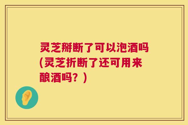 灵芝掰断了可以泡酒吗(灵芝折断了还可用来酿酒吗？)  第1张