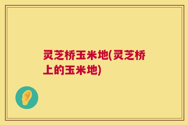 灵芝桥玉米地(灵芝桥上的玉米地)  第1张