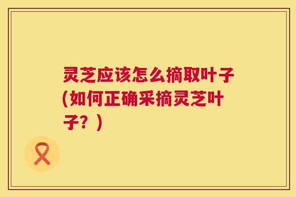 灵芝应该怎么摘取叶子(如何正确采摘灵芝叶子？)  第1张