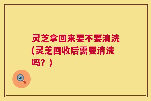 灵芝拿回来要不要清洗(灵芝回收后需要清洗吗？)  第1张