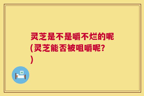灵芝是不是嚼不烂的呢(灵芝能否被咀嚼呢?) 第1张 灵芝是不是嚼不烂的呢(灵芝能否被咀嚼呢?) 第1张