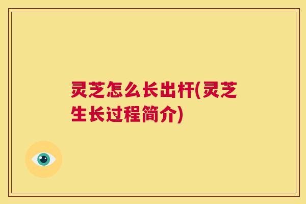 灵芝怎么长出杆(灵芝生长过程简介)  第1张