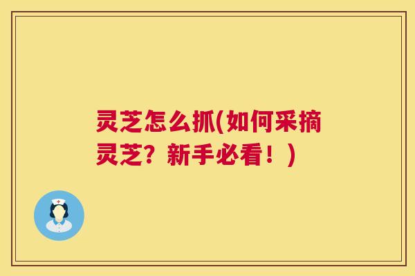 灵芝怎么抓(如何采摘灵芝？新手必看！)  第1张
