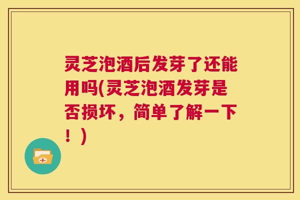 灵芝泡酒后发芽了还能用吗(灵芝泡酒发芽是否损坏，简单了解一下！)  第1张