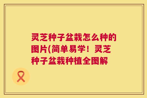 灵芝种子盆栽怎么种的图片(简单易学！灵芝种子盆栽种植全图解  第1张