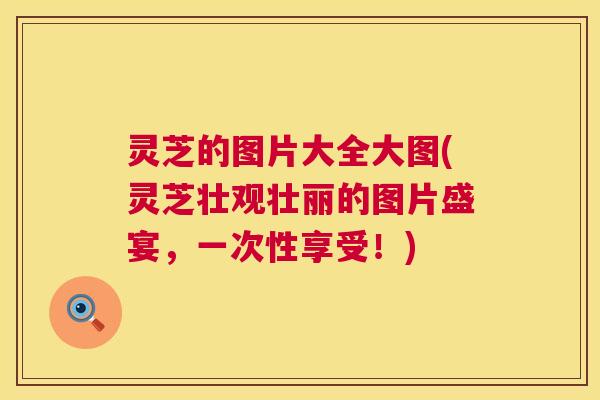 灵芝的图片大全大图(灵芝壮观壮丽的图片盛宴,一次性享受!) 第1张 灵芝的图片大全大图(灵芝壮观壮丽的图片盛宴,一次性享受!) 第1张