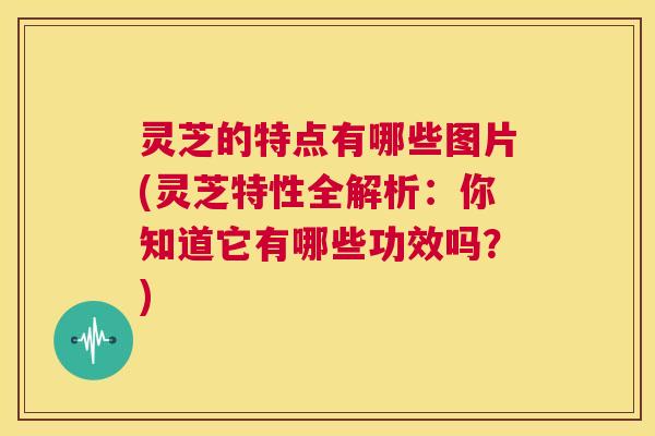 灵芝的特点有哪些图片(灵芝特性全解析：你知道它有哪些功效吗？)  第1张