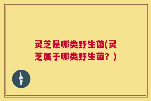 灵芝是哪类野生菌(灵芝属于哪类野生菌？)  第1张