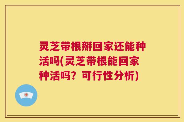 灵芝带根掰回家还能种活吗(灵芝带根能回家种活吗？可行性分析)  第1张