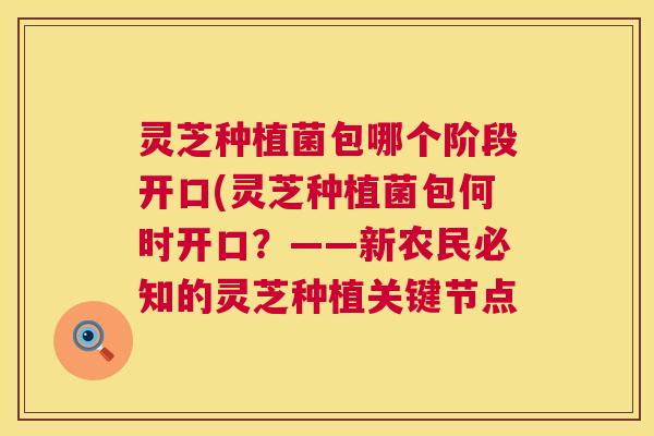 灵芝种植菌包哪个阶段开口(灵芝种植菌包何时开口？——新农民必知的灵芝种植关键节点  第1张