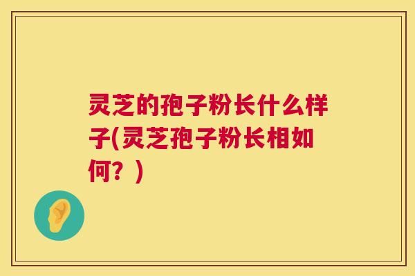 灵芝的孢子粉长什么样子(灵芝孢子粉长相如何？)  第1张