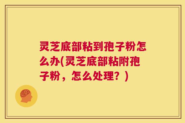灵芝底部粘到孢子粉怎么办(灵芝底部粘附孢子粉，怎么处理？)  第1张