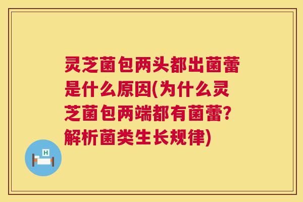灵芝菌包两头都出菌蕾是什么原因(为什么灵芝菌包两端都有菌蕾?解析菌类生长规律) 第1张 灵芝菌包两头都出菌蕾是什么原因(为什么灵芝菌包两端都有菌蕾?解析菌类生长规律) 第1张