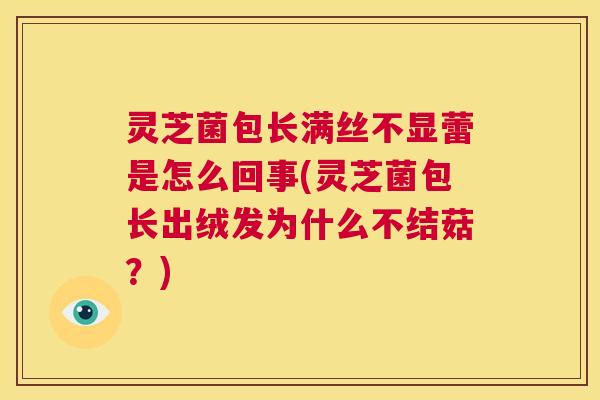 灵芝菌包长满丝不显蕾是怎么回事(灵芝菌包长出绒发为什么不结菇？)  第1张