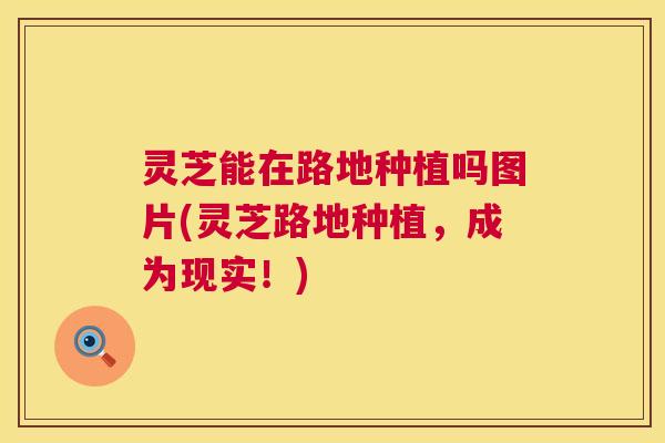 灵芝能在路地种植吗图片(灵芝路地种植,成为现实!) 第1张 灵芝能在路地种植吗图片(灵芝路地种植,成为现实!) 第1张