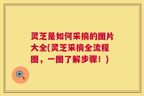 灵芝是如何采摘的图片大全(灵芝采摘全流程图,一图了解步骤!) 第1张 灵芝是如何采摘的图片大全(灵芝采摘全流程图,一图了解步骤!) 第1张