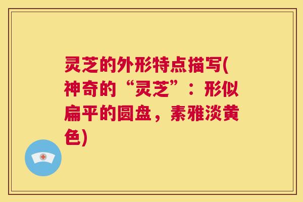 灵芝的外形特点描写(神奇的“灵芝”:形似扁平的圆盘,素雅淡黄色) 第1张 灵芝的外形特点描写(神奇的“灵芝”:形似扁平的圆盘,素雅淡黄色) 第1张