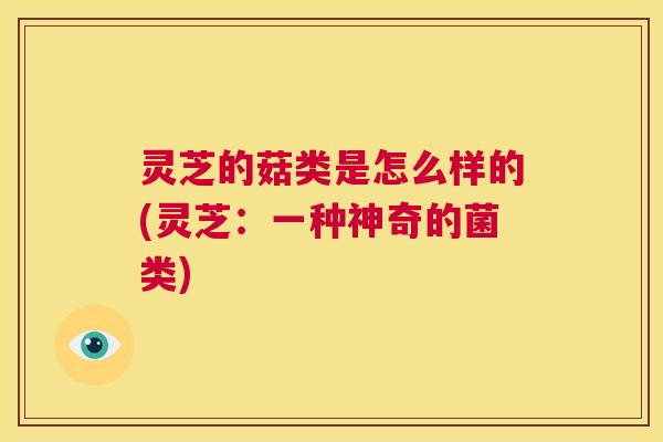 灵芝的菇类是怎么样的(灵芝:一种神奇的菌类) 第1张 灵芝的菇类是怎么样的(灵芝:一种神奇的菌类) 第1张