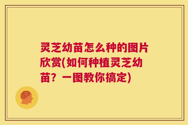 灵芝幼苗怎么种的图片欣赏(如何种植灵芝幼苗?一图教你搞定) 第1张 灵芝幼苗怎么种的图片欣赏(如何种植灵芝幼苗?一图教你搞定) 第1张