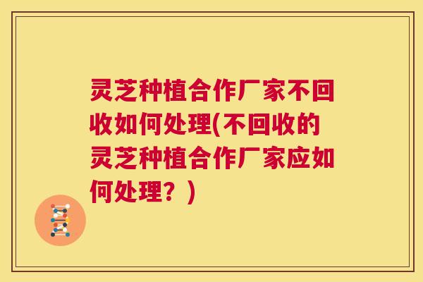 灵芝种植合作厂家不回收如何处理(不回收的灵芝种植合作厂家应如何处理?) 第1张 灵芝种植合作厂家不回收如何处理(不回收的灵芝种植合作厂家应如何处理?) 第1张