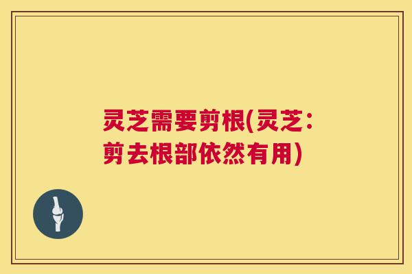 灵芝需要剪根(灵芝：剪去根部依然有用)  第1张
