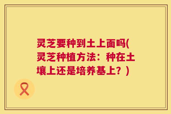 灵芝要种到土上面吗(灵芝种植方法:种在土壤上还是培养基上?) 第1张 灵芝要种到土上面吗(灵芝种植方法:种在土壤上还是培养基上?) 第1张