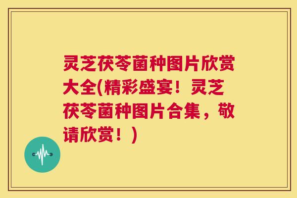 灵芝茯苓菌种图片欣赏大全(精彩盛宴！灵芝茯苓菌种图片合集，敬请欣赏！)  第1张