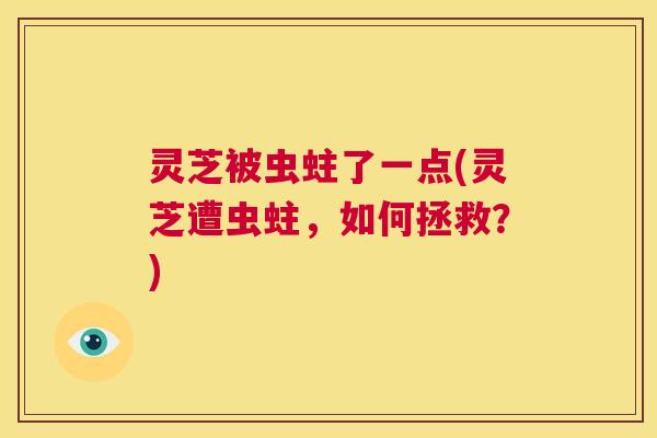 灵芝被虫蛀了一点(灵芝遭虫蛀,如何拯救?) 第1张 灵芝被虫蛀了一点(灵芝遭虫蛀,如何拯救?) 第1张